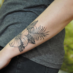 Tattoos - Black and Gray Hibiscus on Forearm- Instagram @michaelbalesart - 121906